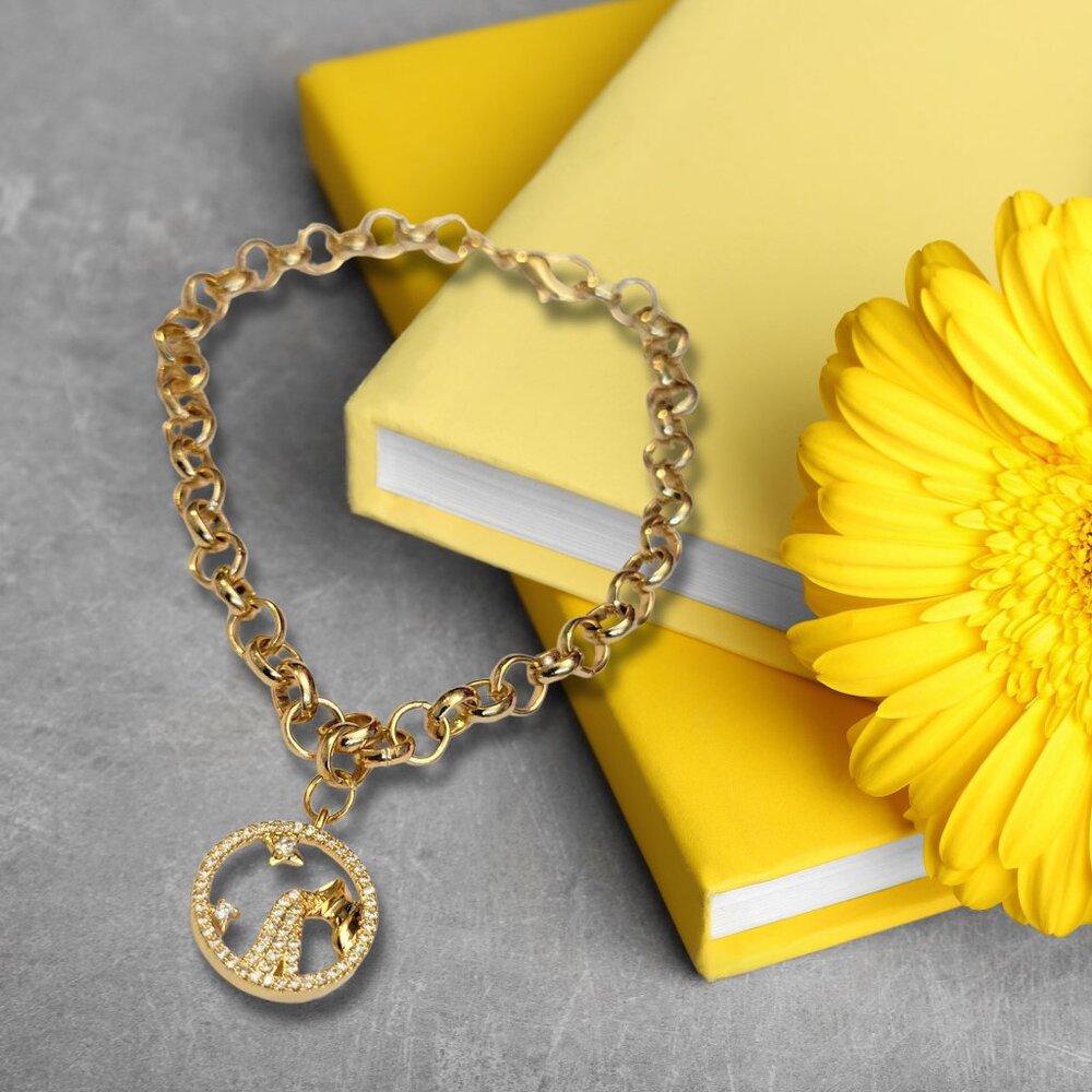 Aquarius Zodiac Sign Charm Bracelet